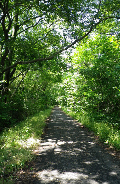 木曽川沿いのサイクリングロードの写真