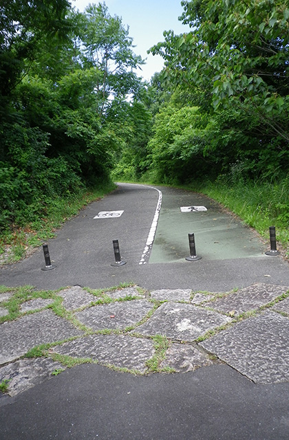 木曽川沿いのサイクリングロードの写真
