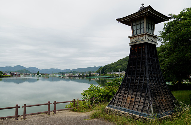 おがせ池のスイレンとあじさいの写真