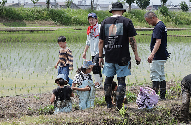 田植え体験の写真