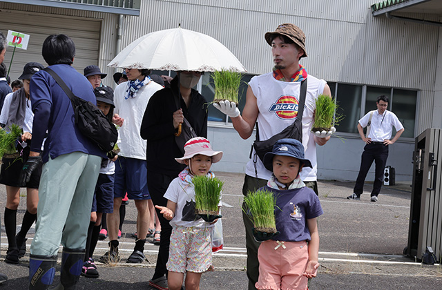 田植え体験の写真