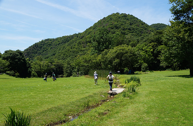 自然遺産の森の風景の写真
