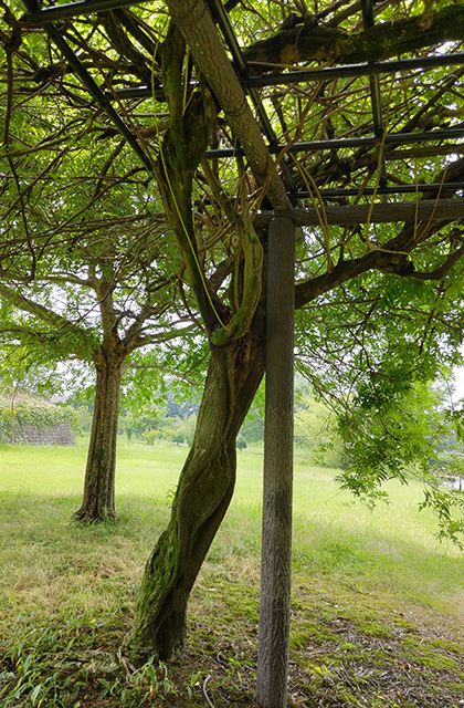 蘇原自然公園の写真