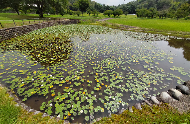 蘇原自然公園の写真
