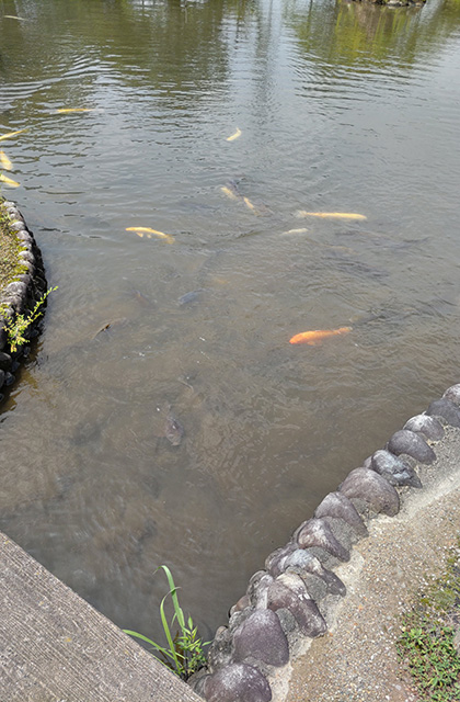 蘇原自然公園の写真