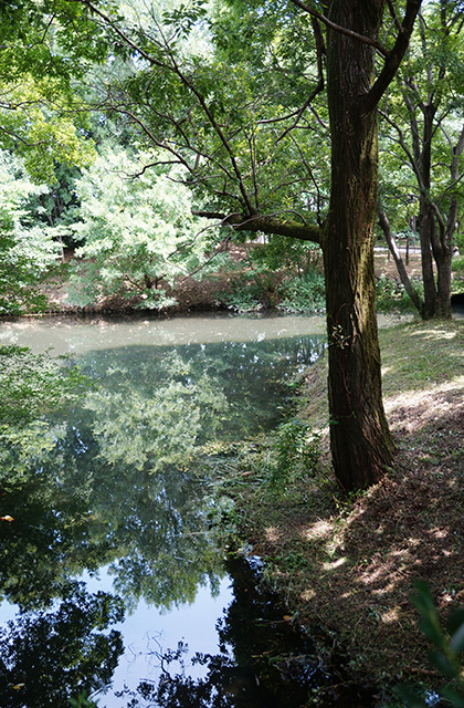 河跡湖公園の写真