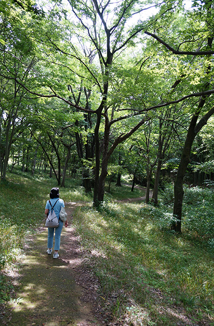 河跡湖公園の写真