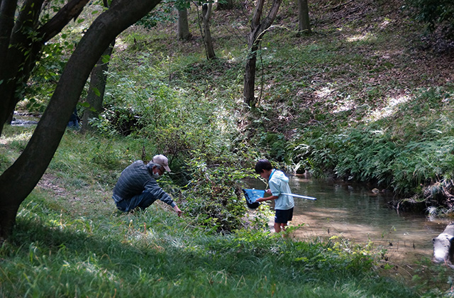 河跡湖公園の写真