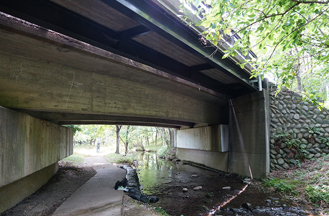 河跡湖公園の写真
