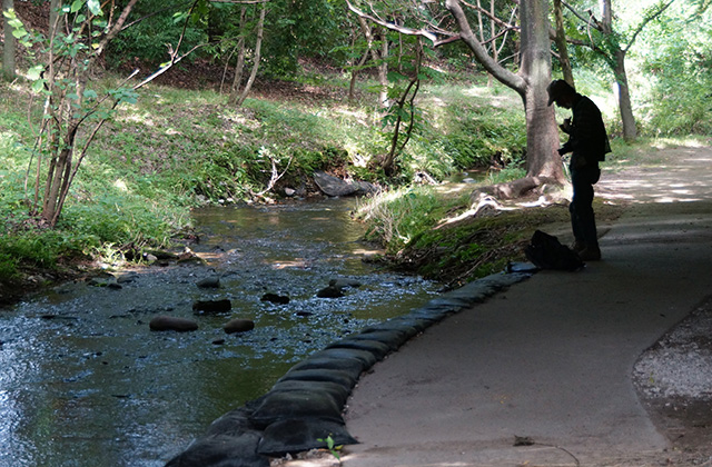 河跡湖公園の写真