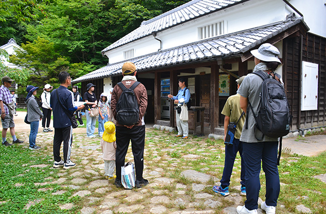 親子自然体験講座「柳沢先生と歩く夏の植物観察会」の写真