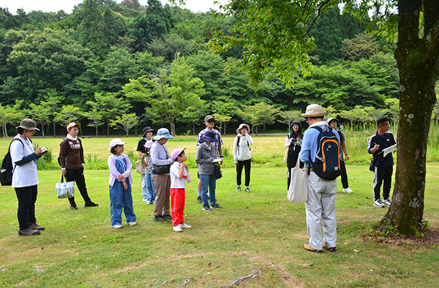 親子自然体験講座「柳沢先生と歩く夏の植物観察会」の写真