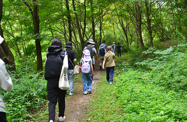 親子自然体験講座「柳沢先生と歩く夏の植物観察会」の写真