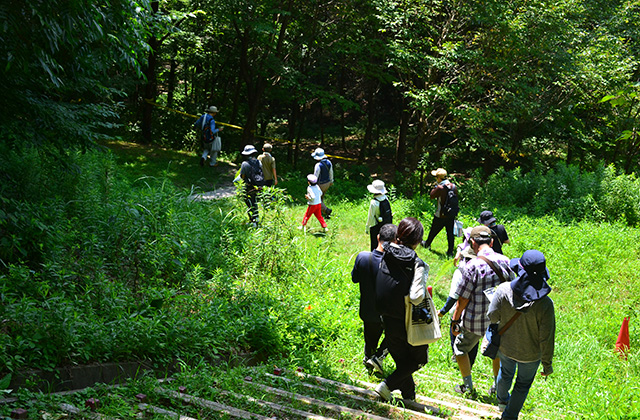 親子自然体験講座「柳沢先生と歩く夏の植物観察会」の写真