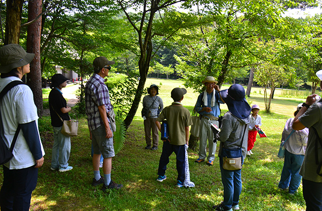 親子自然体験講座「柳沢先生と歩く夏の植物観察会」の写真