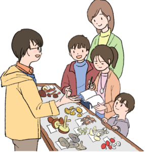 きのこ観察イラスト