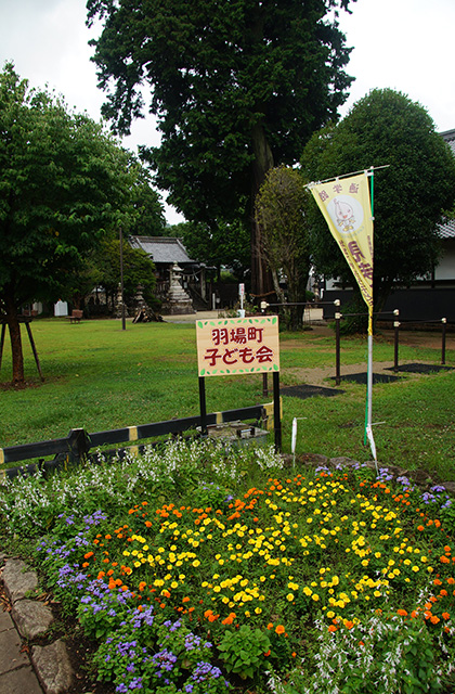 鵜沼羽場町の風景の写真