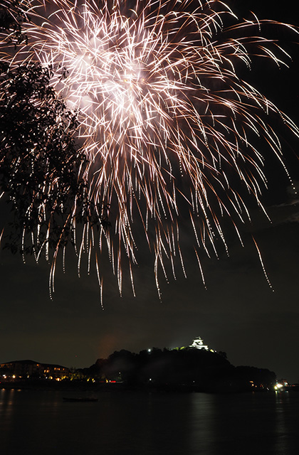 第46回日本ライン夏まつりロングラン花火の写真
