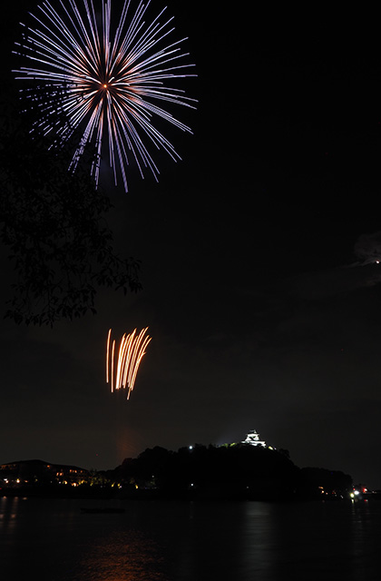 第46回日本ライン夏まつりロングラン花火の写真