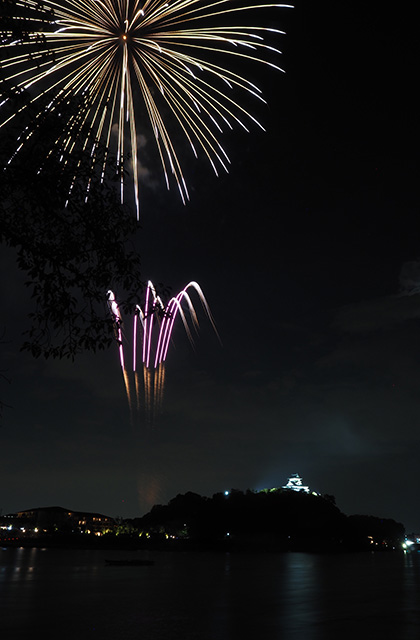第46回日本ライン夏まつりロングラン花火の写真