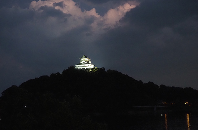 第46回日本ライン夏まつりロングラン花火の写真