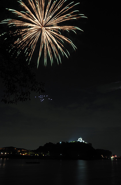 第46回日本ライン夏まつりロングラン花火の写真