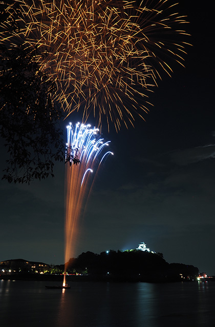 第46回日本ライン夏まつりロングラン花火の写真