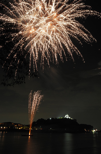 第46回日本ライン夏まつりロングラン花火の写真