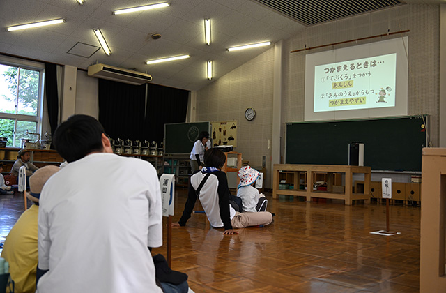 親子で楽しもう！真夏の虫とり体験の写真