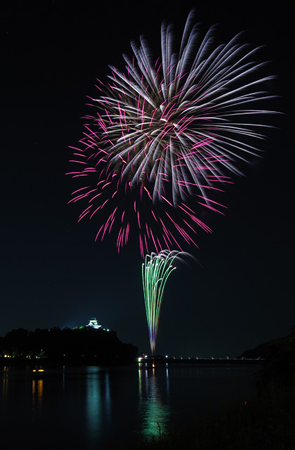 第46回日本ライン夏まつりロングラン花火の写真