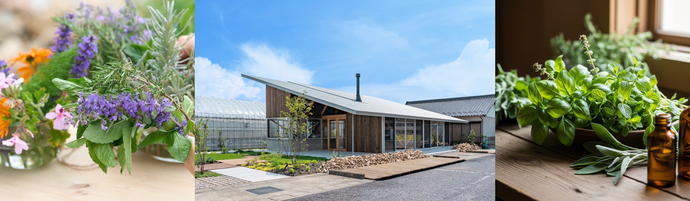 シニアライフを素敵に愉しむ会のトップ画像