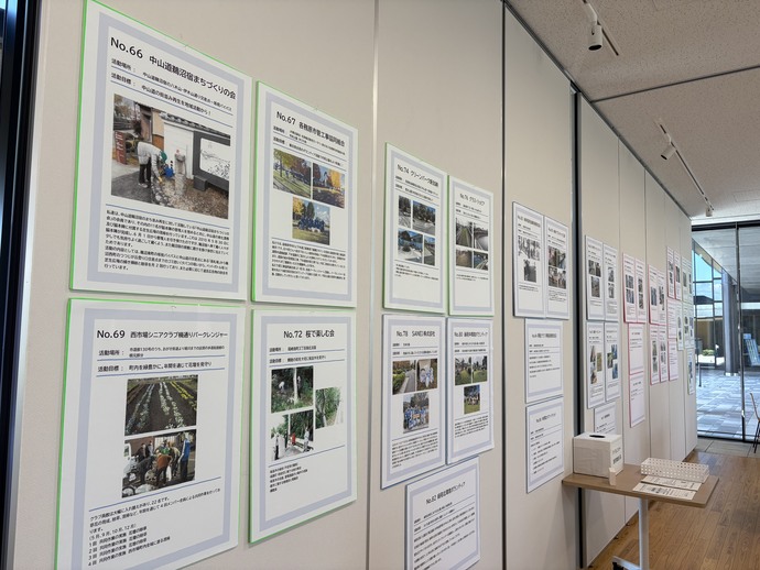 展示写真