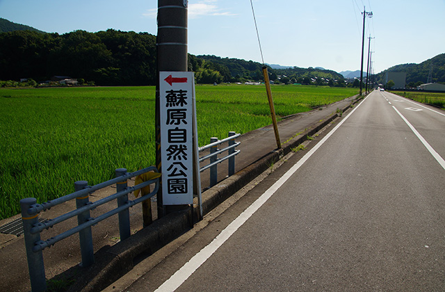 蘇原地区の水田の写真