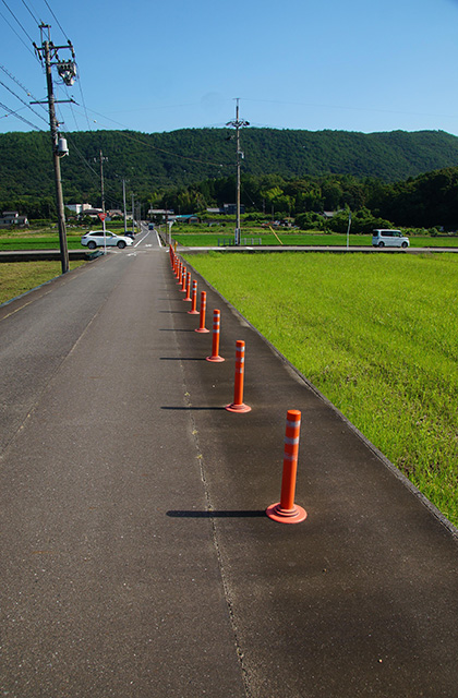 蘇原地区の水田の写真