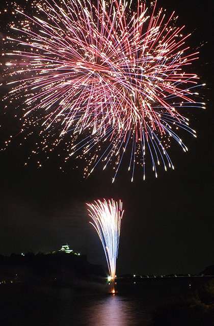 第46回日本ライン夏まつりロングラン花火の写真