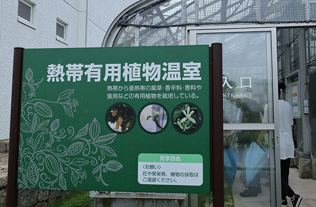 くすり博物館ガイドツアーの写真