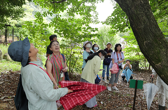 くすり博物館ガイドツアーの写真