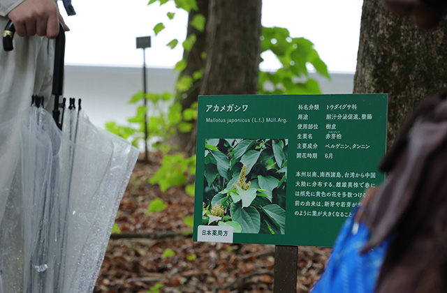 くすり博物館ガイドツアーの写真