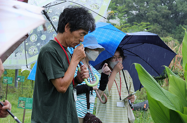 くすり博物館ガイドツアーの写真
