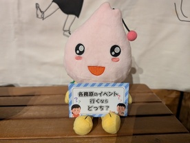 どっち派?らら