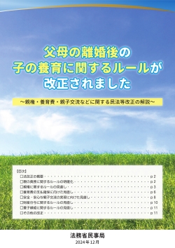 パンフレット（父母の離婚後の子の養育に関するルールが改正されました）