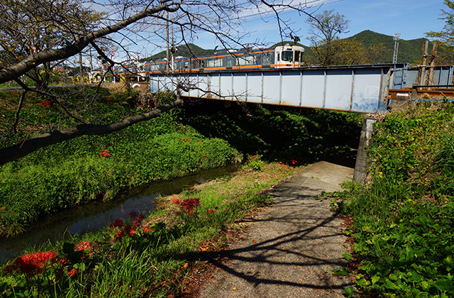 大安寺川の秋の風景の写真
