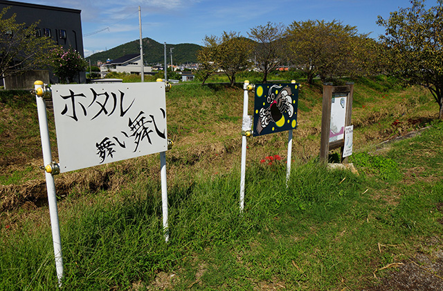 大安寺川の秋の風景の写真