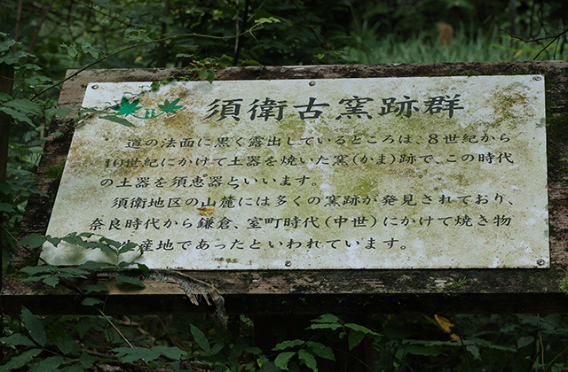 秋の公園ツアーの写真