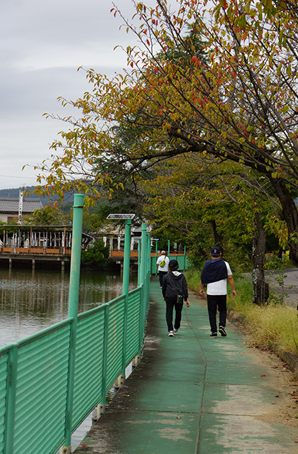 おがせ池の風景の写真
