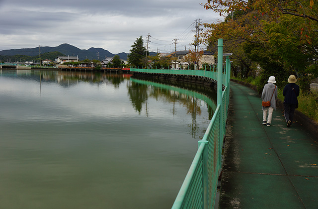 おがせ池の風景の写真