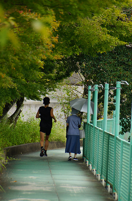 おがせ池の風景の写真