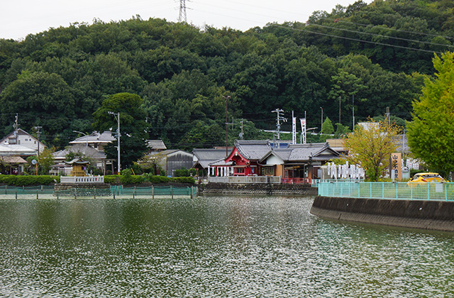 おがせ池の風景の写真