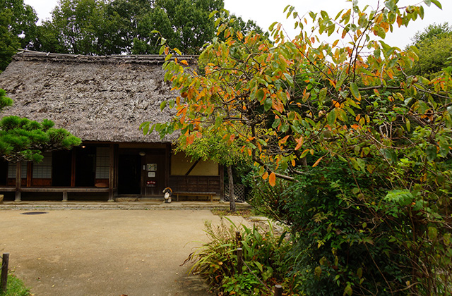 河川環境楽園の風景の写真
