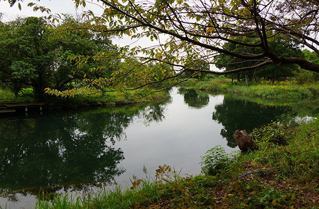 河川環境楽園の風景の写真
